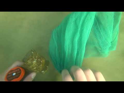 Видео: Поиск на Белом озере, minelab equinox