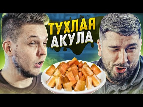 Видео: HARD PLAY ПРОБУЕТ ТУХЛУЮ АКУЛУ С ТИМА МАЦОНИ. САМОЕ ВОНЮЧЕЕ МЯСО