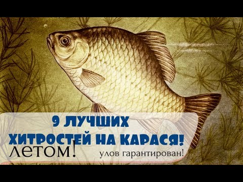 Видео: 9 ПРОВЕРЕННЫХ СЕКРЕТОВ ЛОВЛИ КАРАСЯ!