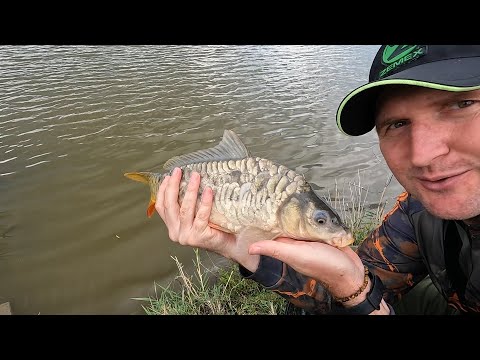 Видео: Аушедз. Разведка водоёма. Флэт-метод пикер.