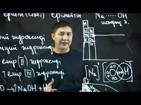 Видео: Негіздер. 8 сынып.