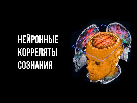 Видео: НЕЙРОННЫЕ КОРРЕЛЯТЫ СОЗНАНИЯ