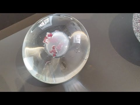 Видео: Пузыри из муранского стекла.