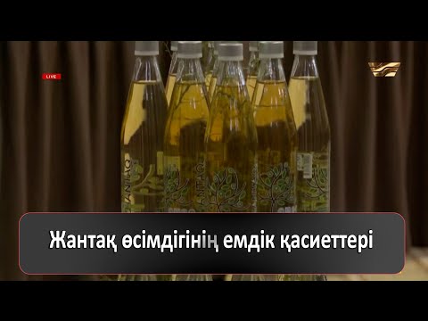 Видео: Жантақ өсімдігінің емдік қасиеттері