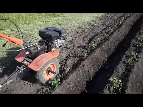 Видео: Мой мотоблок patriot vegas 7 и в чём он мне помогал в сезоне 2018 года