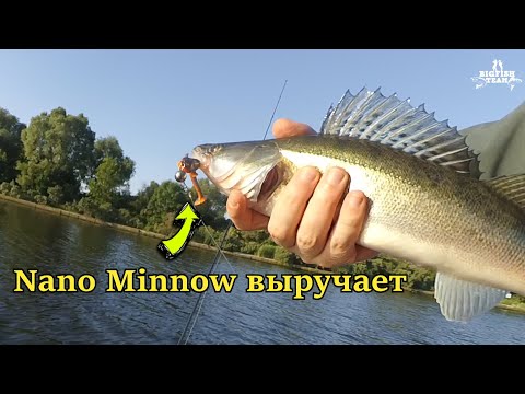 Видео: Crazy Fish VS Hot Pepper ) Баттл с гидом. Рыбалка в Калининграде.