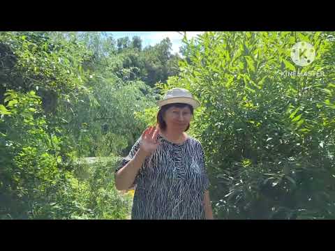 Видео: 06.08.2024г. Вниз по Хопру в окрестностях п. Беково.