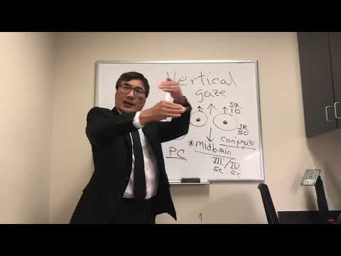 Видео: Вертикальный взгляд