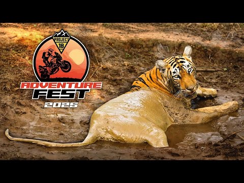 Видео: Грязные британские киски на Project18 ADV FEST 2025 / Категория "Лайт"