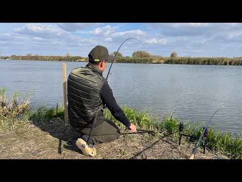 Видео: Не реальный клев Сазана на Реке Днестр