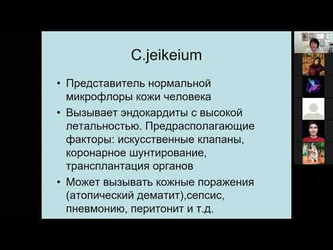 Видео: Г.Ш. Исаева. Возбудитель дифтерии. Лечебный факультет.