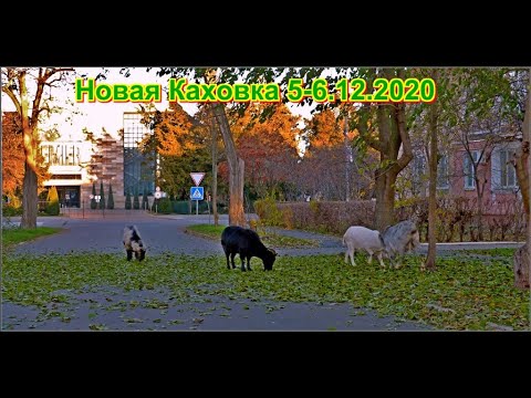 Видео: НОВАЯ КАХОВКА ГОРОД В КОТОРОМ МЫ ЖИВЕМ,ВОТ И ЗИМА 6 12 2020