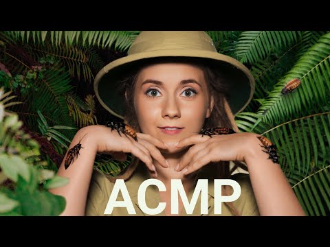 Видео: АСМР ЭВОЛЮЦИЯ 🦎🦔 Твои самые Дикие Мурашки !!🙃 //НОЧЬ в МУЗЕЕ