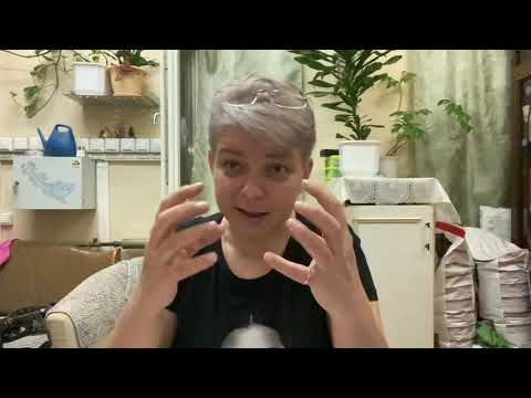 Видео: Не обломай крылышки КУРИЦА.  «Старая перечница»