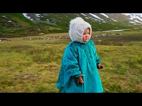Видео: Ханты. Истории оленеводов Вэненго | Тут султам