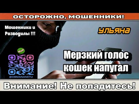 Видео: Мошенники звонят по телефону / Мерзкий голос кошек напугал ( сборник ).