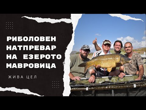 Видео: Riboloven natprevar na ezeroto Mavrovica | S3E08 - Ziva Cel #fishing #ribolov #риболов