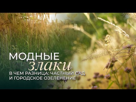 Видео: ЗЛАКИ в ландшафтном  дизайне. Ассортимент растений, партнеры, отличия от частного сада.