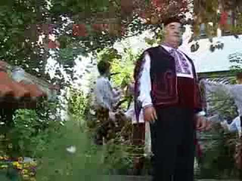 Видео: Сойка птица/ Стоян Джаджев,