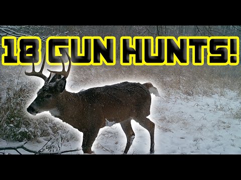 Видео: 18 охот за оружием менее чем за 10 минут!