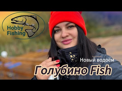 Видео: Рыбалка на форель. Голубино fish. 