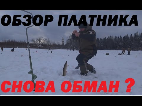 Видео: ОБЗОР ПЛАТНИКА. СНОВА ОБМАН ИЛИ НЕТ? ЛОВИМ ФОРЕЛЬ