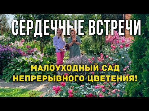 Видео: Проект "Сердечные встречи". Людмила Кудасова: как создать малоуходный сад. Секреты цветущего сада.