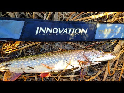 Видео: Рыбалка с hearty rise innovation 832m.