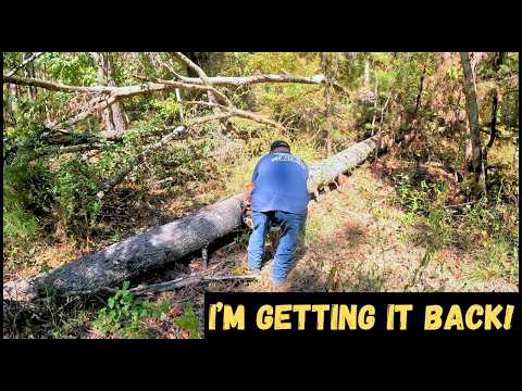 Видео: Возвращаю то, что принадлежит мне!