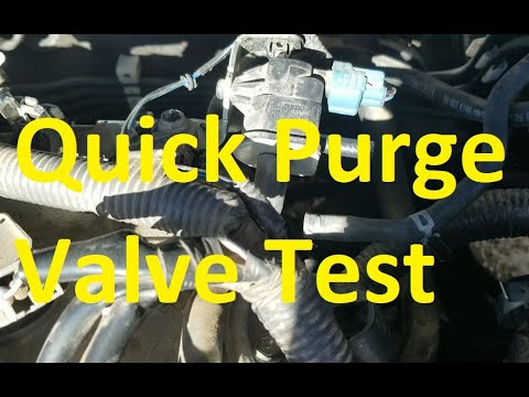 Видео: Как проверить исправность клапана продувки испарителя (инструменты не требуются)