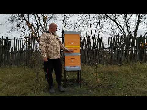 Видео: Сбор ульев на зимовку