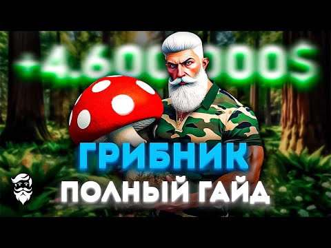 Видео: РЕБАЛАНС ГРИБНИКА 2.0 | ПОЛНЫЙ ГАЙД ПО ГРИБНИКУ | GTA 5 RP (Majestic)