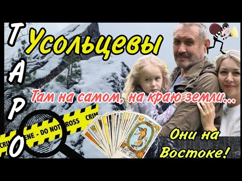 Видео: Усольцевы на границе Востока | Вор в законе. Таро.