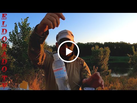 Видео: Как ловить хищную рыбу с берега на бутылку#