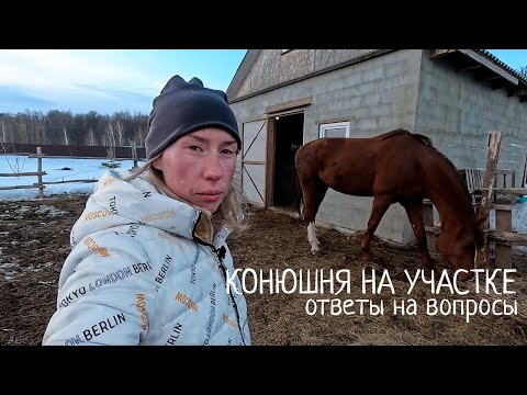 Видео: Немного про конюшню | Ответы на вопросы. Жизнь с лошадьми весной