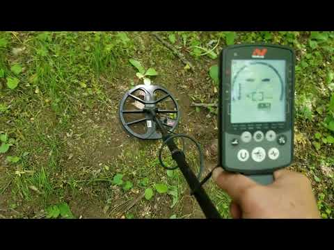Видео: Minelab Equinox 800, про Пляж 2 и Threshold !!!