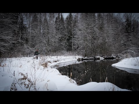 Видео: НОВОГОДНЯЯ РЫБАЛКА, итоги 2023 года.