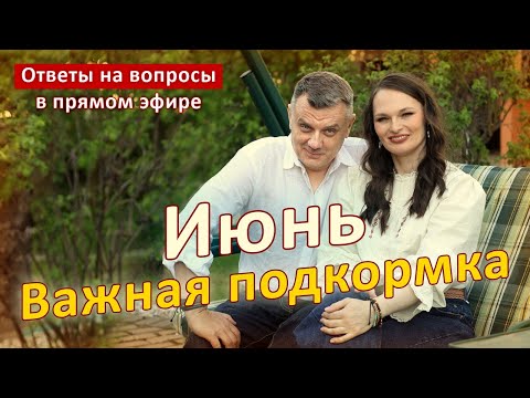 Видео: Срочно подкормите такЪ!