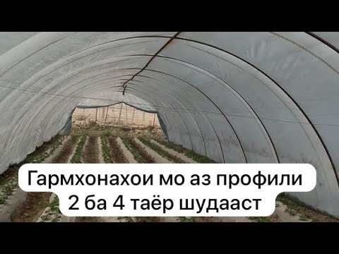 Видео:  Гармхонахои мо аз профили 2 ба 4 таёр шудааст 