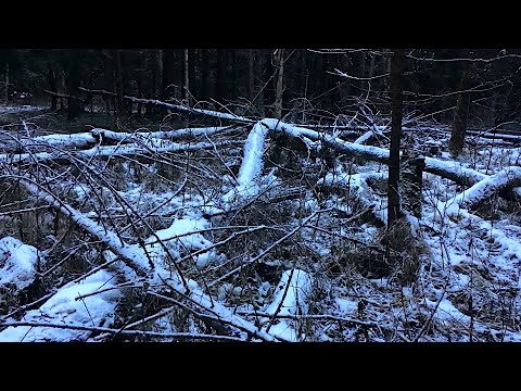 Видео: #2 Пеший поход зимой От Серпухова до Ступино