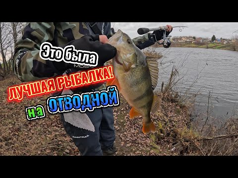 Видео: СТОЛЬКО КРУПНЫХ ОКУНЕЙ я еще НЕ ЛОВИЛ!
