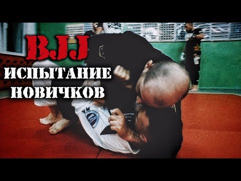 Видео: BJJ. Бразильское Джиу Джитсу. Финальное испытание новичков. (ДМ 3 - 4 серия)
