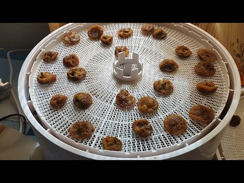 Видео: Цукаты из инжира в сушилке Ezidri