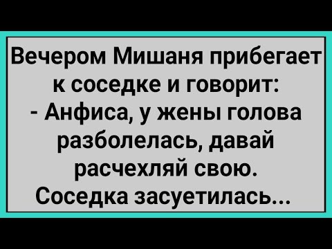 Видео: Как Мишаня к Соседке Прибежал! Сборник Свежих Смешных Анекдотов!