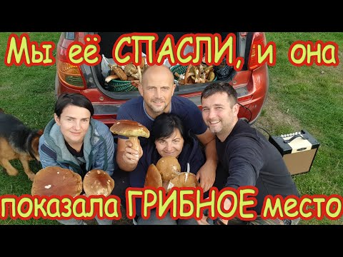 Видео: 🆘️СПАСЕНИЕ свинки Зинки с ЧЕРНИЧНОГО ХУТОРА🐖таких грибов я еще не собирал🍄МАНГАЛ от подписчика🍢🥩