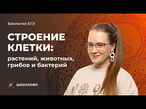 Видео: Строение клетки: растений, животных, грибов и бактерий в ЕГЭ по биологии
