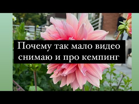 Видео: Почему так мало видео снимаю в последнее время и про кемпинг