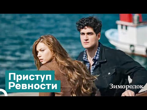 Видео: Не Можем Сказать, Что Не Ссорились Из-За Бывшей Любви | Зимородок