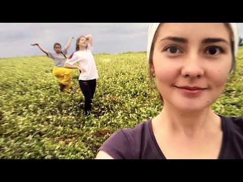 Видео: Пасека Скуратовых. Алтайский край, Солтонский район