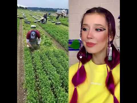 Видео: #сценка #пов#длявас #история #fyp #смешно #д ействующий #вирус
